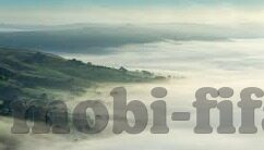 竞猜足球比分单场-竞猜足球比分单场，一场智慧与运气的双重博弈